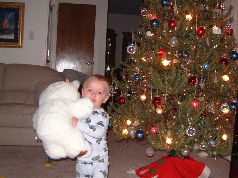 Hildebrand Christmas ScreenSaver/800x600_2001-12 Red White & Blue Christmas 07.jpg